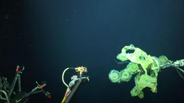 Tiến bộ công nghệ mới đánh dấu bước ngoặt trong nghiên cứu sinh vật dưới biển sâu